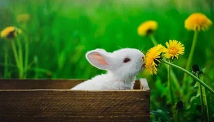 在 Switch 2 的首年，每一款第三方移植游戏都在讲述关于这款主机的故事